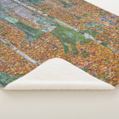 樺の木林 | Gustavクリムト | シェルパブランケット (3/4)