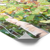 樺の木森林水絵を描色のポスター ポスター (角)