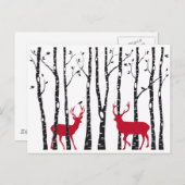 樺の木樹林の赤 ポストカード (正面/裏面)