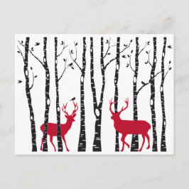 樺の木樹林の赤 ポストカード