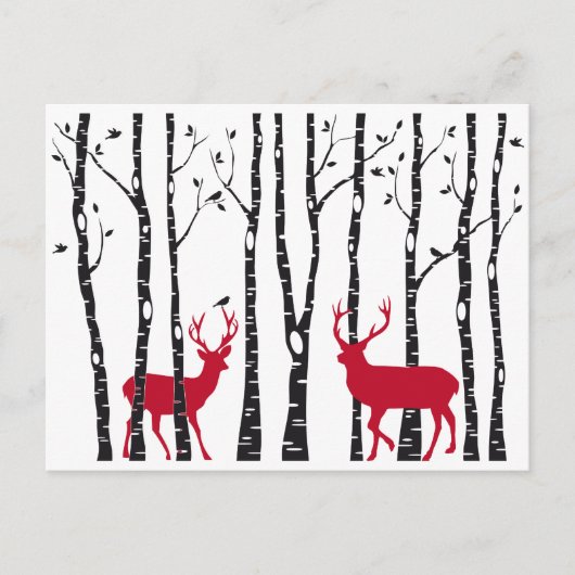 樺の木樹林の赤 ポストカード (正面)