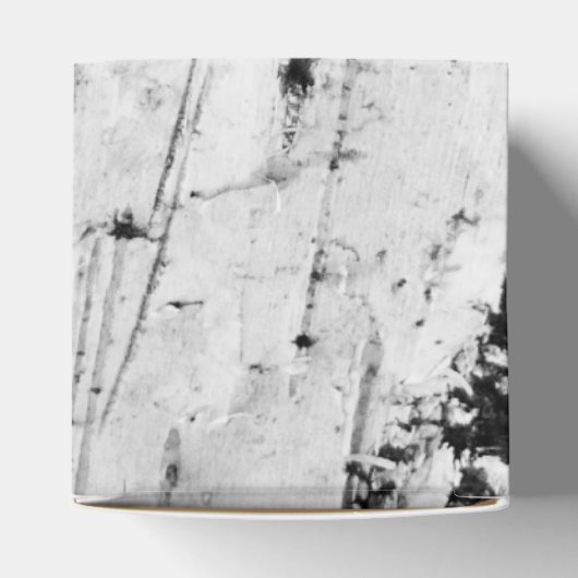 樺の木樹皮の組織 フェイバーボックス (上部)