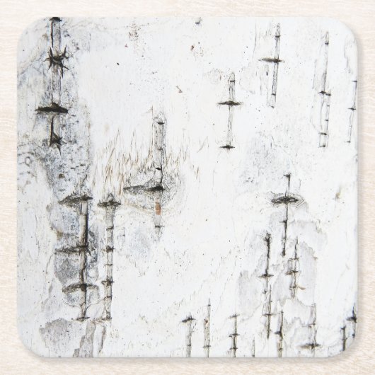 樺の木樹皮コースター スクエアペーパーコースター (正面)