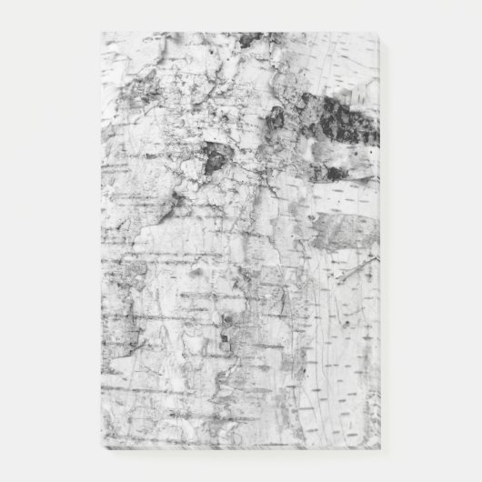 樺の木樹皮パターン注記 ポストイット (正面)