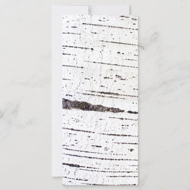 樺の木樹皮パターン (正面)