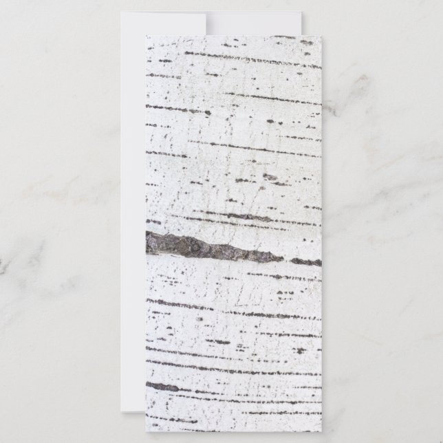 樺の木樹皮パターン (正面)