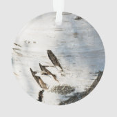 樺の木樹皮パターン オーナメント (裏面)