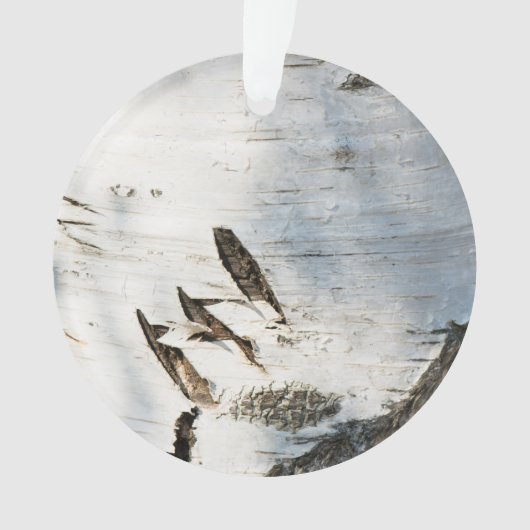 樺の木樹皮パターン オーナメント (正面)