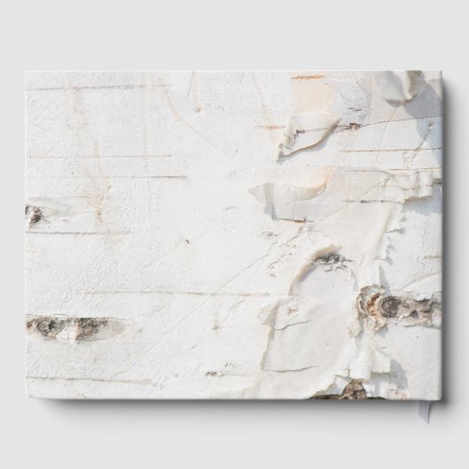 樺の木樹皮パターン ゲストブック (裏面)