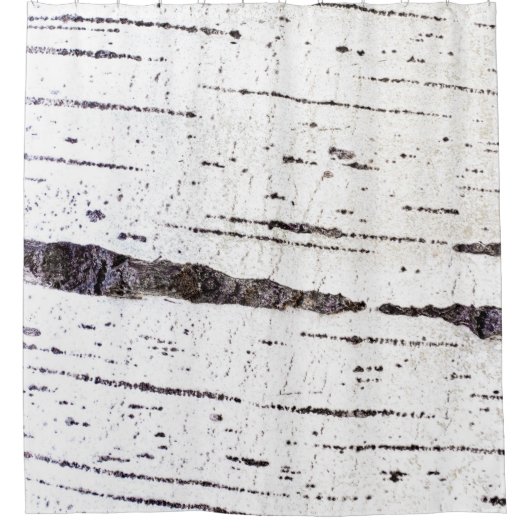 樺の木樹皮パターン シャワーカーテン (正面)