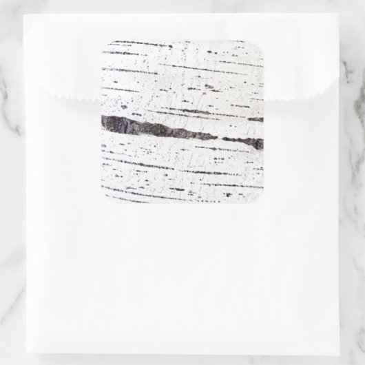 樺の木樹皮パターン スクエアシール (バッグ)