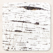 樺の木樹皮パターン スクエアペーパーコースター (正面)