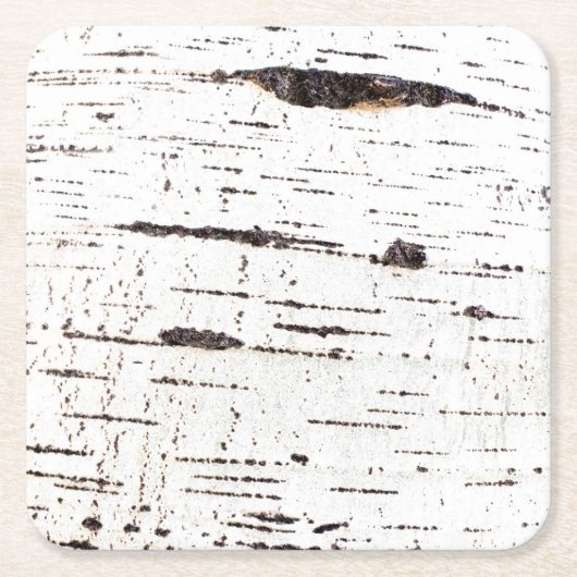 樺の木樹皮パターン スクエアペーパーコースター (正面)