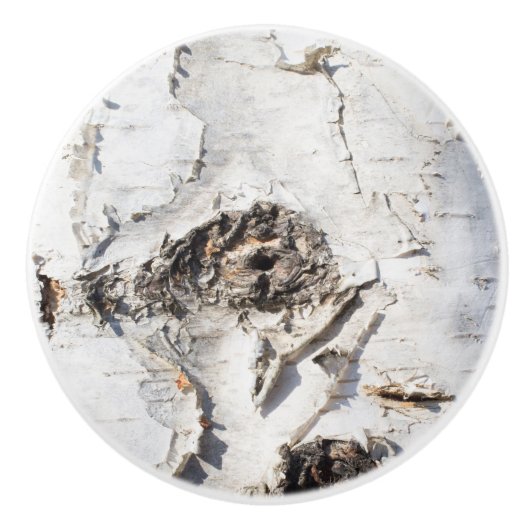 樺の木樹皮パターン セラミックノブ (正面)