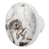 樺の木樹皮パターン セラミックノブ (右)