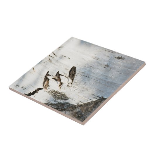 樺の木樹皮パターン タイル (側面)