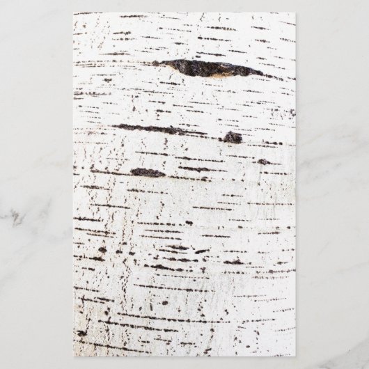 樺の木樹皮パターン チラシ (正面)