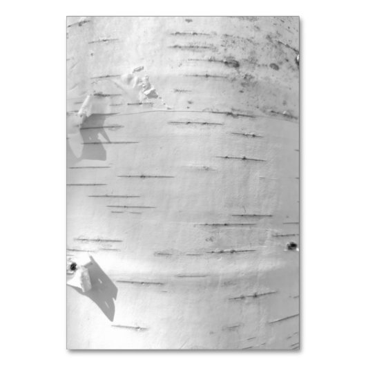 樺の木樹皮パターン テーブルナンバー (正面)