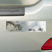 樺の木樹皮パターン バンパーステッカー (車上)