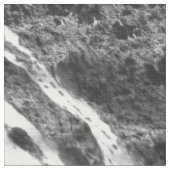 樺の木樹皮パターン ファブリック (クローズアップ)