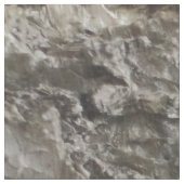 樺の木樹皮パターン ファブリック (クローズアップ)