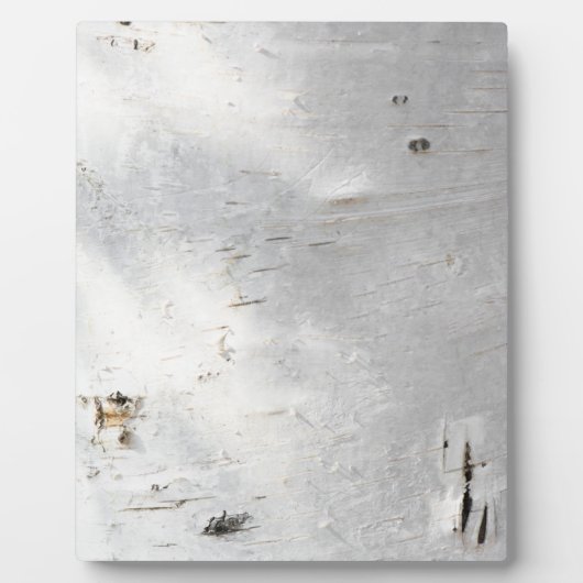 樺の木樹皮パターン フォトプラーク (正面)