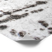 樺の木樹皮パターン ポスター (角)