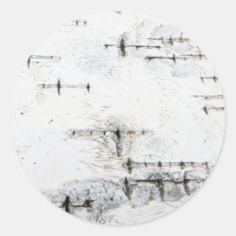 樺の木樹皮パターン ラウンドシール