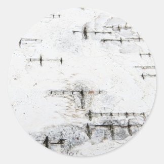 樺の木樹皮パターン ラウンドシール