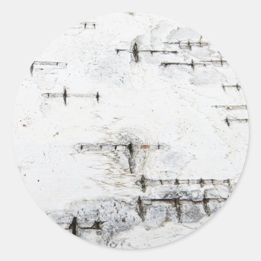 樺の木樹皮パターン ラウンドシール (正面)