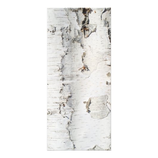 樺の木樹皮パターン ラックカード (正面)