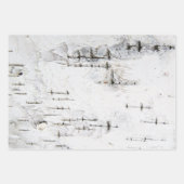 樺の木樹皮パターン ラッピングペーパーシート (正面3)