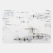 樺の木樹皮パターン ラッピングペーパーシート (正面2)