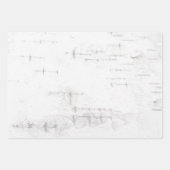 樺の木樹皮パターン ラッピングペーパーシート (正面)