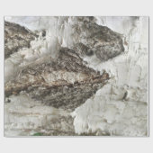 樺の木樹皮パターン ラッピングペーパー (フラット)