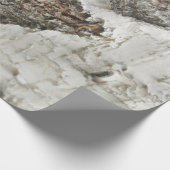 樺の木樹皮パターン ラッピングペーパー (角)