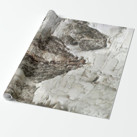 樺の木樹皮パターン ラッピングペーパー (アンロールド)