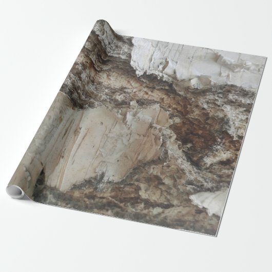 樺の木樹皮パターン ラッピングペーパー (アンロールド)
