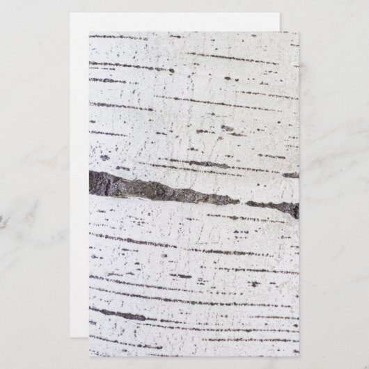 樺の木樹皮パターン 便箋 (正面/裏面)