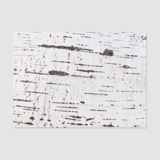 樺の木樹皮パターン 薄葉紙 (正面)