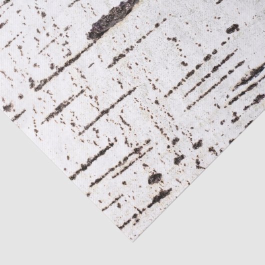 樺の木樹皮パターン 薄葉紙 (詳細)