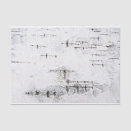 樺の木樹皮パターン 薄葉紙