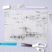 樺の木樹皮パターン 薄葉紙 (クラフト)