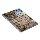 樺の木樹皮写真ノート ノートブック (右側)