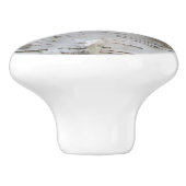 樺の木樹皮剥古写真 セラミックノブ (側面)