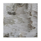 樺の木樹皮剥古写真 タイル (正面)