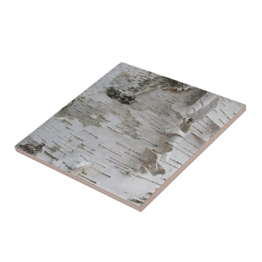 樺の木樹皮剥古写真 タイル (側面)