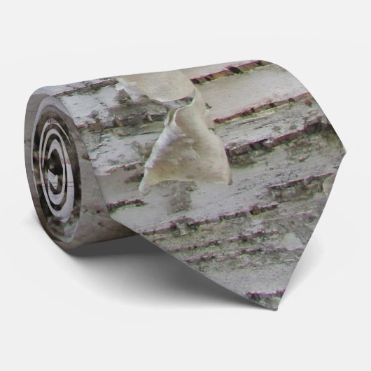 樺の木樹皮剥古写真 ネクタイ (ロール)