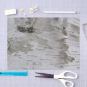 樺の木樹皮剥古写真 薄葉紙 (クラフト)