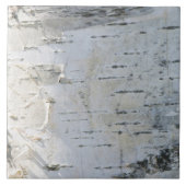 樺の木樹皮型 タイル (正面)